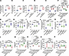 Effect of siRNA-mediated knockdown and CRISPR/Cas9-mediated overexpression of Hdac9 and Kdm2b on ROS generation, bioenergetics, and mitochondrial function in BAT cells in vitro. Effect of siRNA-mediated knockdown and CRISPR/Cas9-mediated overexpression