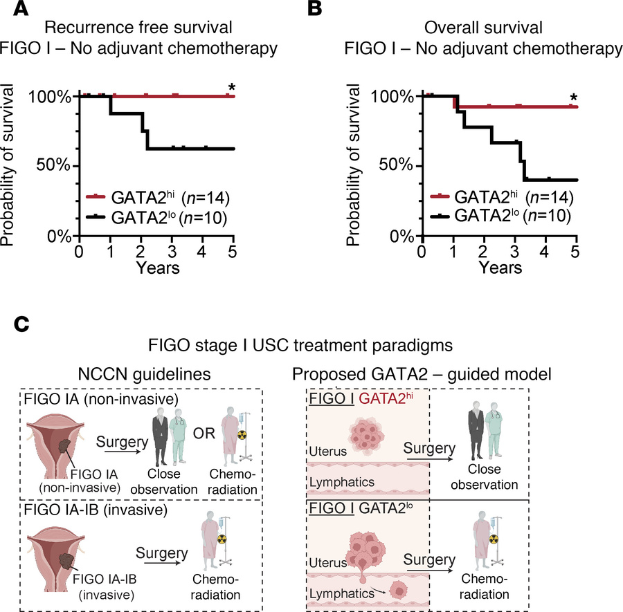 GATA2 IHC predicts recurrence and overall survival in FIGO stage I USC i...