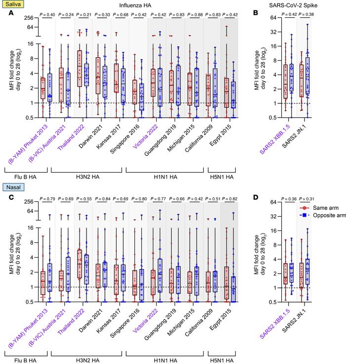Salivary and nasal IgG antibody binding responses to influenza HA and SA...