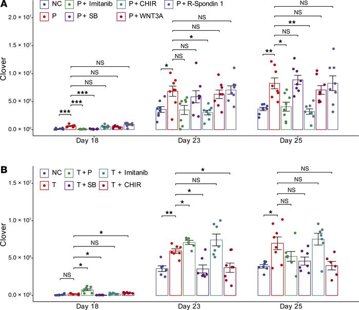 GSK3β inhibitors block TGFB- and PDGFB-induced fibrosis.
(A) The PDGFB-i...