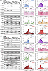 HER3 and HER2 are key mediators of ASPN-induced signaling.