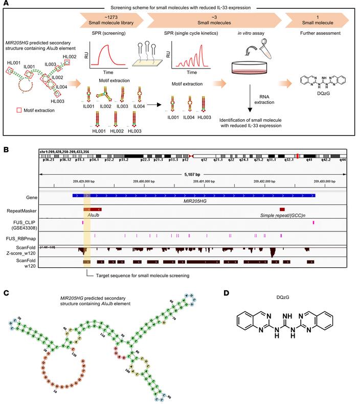 Screening of small molecules that reduce IL-33 expression by targeting t...