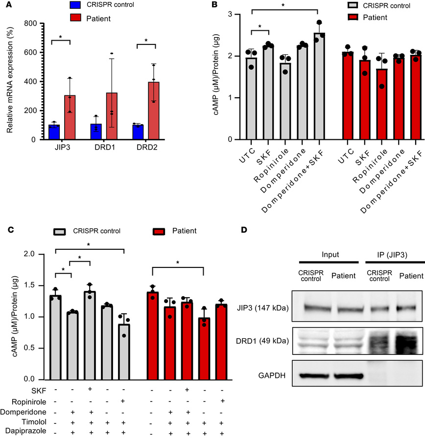 Dopamine signaling was uncoupled in patient iPSC–derived neurons.
(A) mR...
