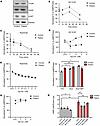 Dopamine signaling was impaired in patient fibroblasts (GM03440).
