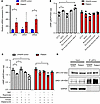 Dopamine signaling was uncoupled in patient iPSC–derived neurons.