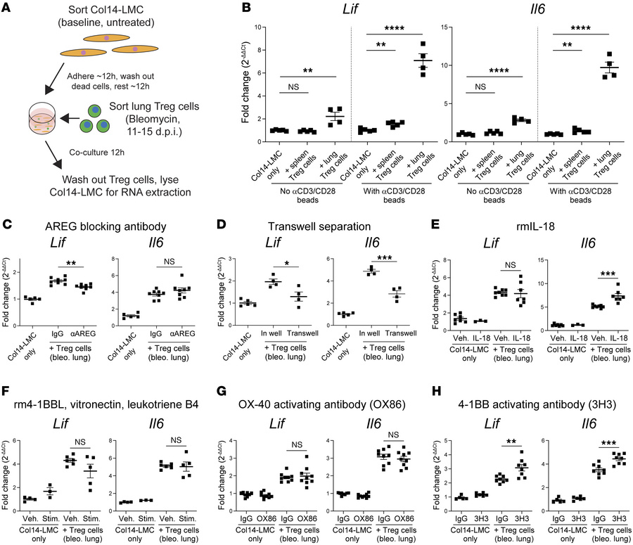 Testing of candidate receptors in functional coculture assay identifies ...