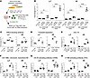 Testing of candidate receptors in functional coculture assay identifies 4-1