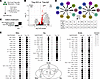 4-1BB agonism effects reparative activity induction and immunosuppression r
