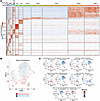 LIPU/MB-mediated BBB disruption alters the transcriptional phenotype of cer
