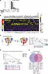 Temporal TRM gene signature distinguishes TRM in mouse and human models.