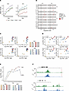 AP-1 transcription factor family members correlate with TRM development.