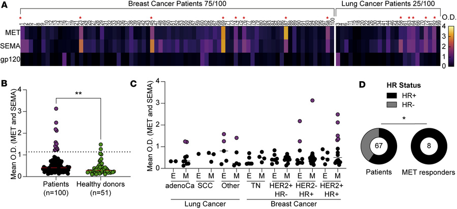 Anti-MET response in a cohort of 100 patients with cancer.
(A) Heatmap r...