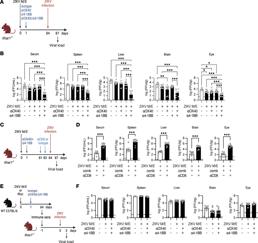 CD8+ T cell–driven long-term protection induced by OX40 and 4-1BB cotrea...