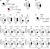 Immunogenicity of ZIKV M/E saRNA vaccine.