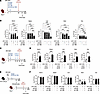 CD8+ T cell–driven long-term protection induced by OX40 and 4-1BB cotreatme
