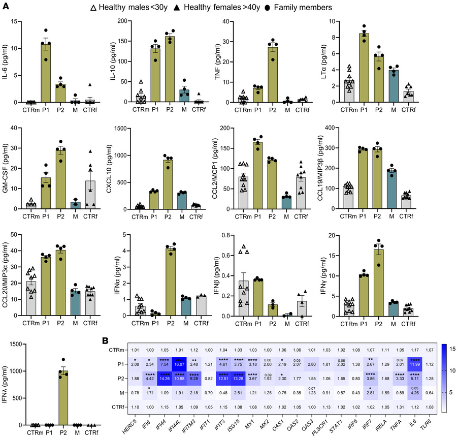 Systemic immune activation in siblings with the TLR8 A518T variant.
(A) ...