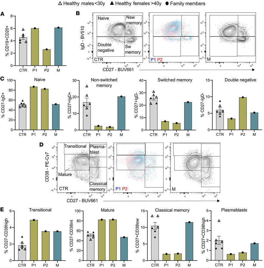 B cell dysregulation in siblings with TLR8 A518T variant.
(A) Percentage...