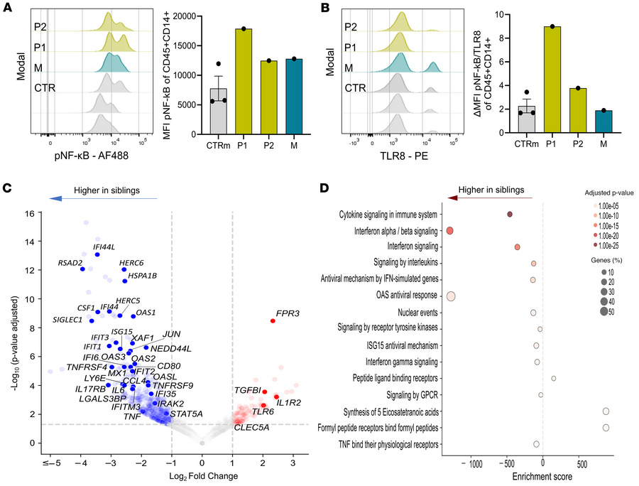Functional studies demonstrate a gain of function of the TLR8 A518T vari...