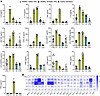 Systemic immune activation in siblings with the TLR8 A518T variant.