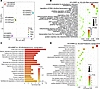 HCV29RP/MRD cells display metabolomic and proteomic differences that sugges