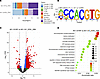 RP cells have increased chromatin accessibility.