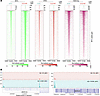 Cooperation of SWI/SNF and MYC reshapes chromatin landscapes in RP cells.