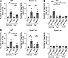 Protective effect of apremilast is ameliorated in Epac1-ko keratinocytes.