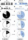 Scn1b null PCs show aberrant bursting activity.