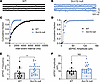 Scn1b null PCs have increased sEPSC frequency but not amplitude.