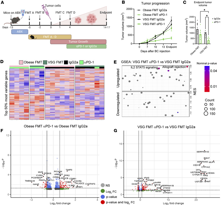 Microbes transplanted from VSG donors improved response to αPD-1 immune ...