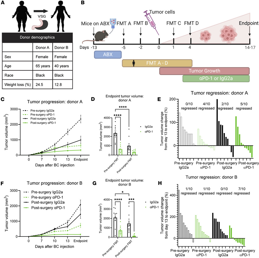Microbes from patients after bariatric surgery reduced tumor burden and ...