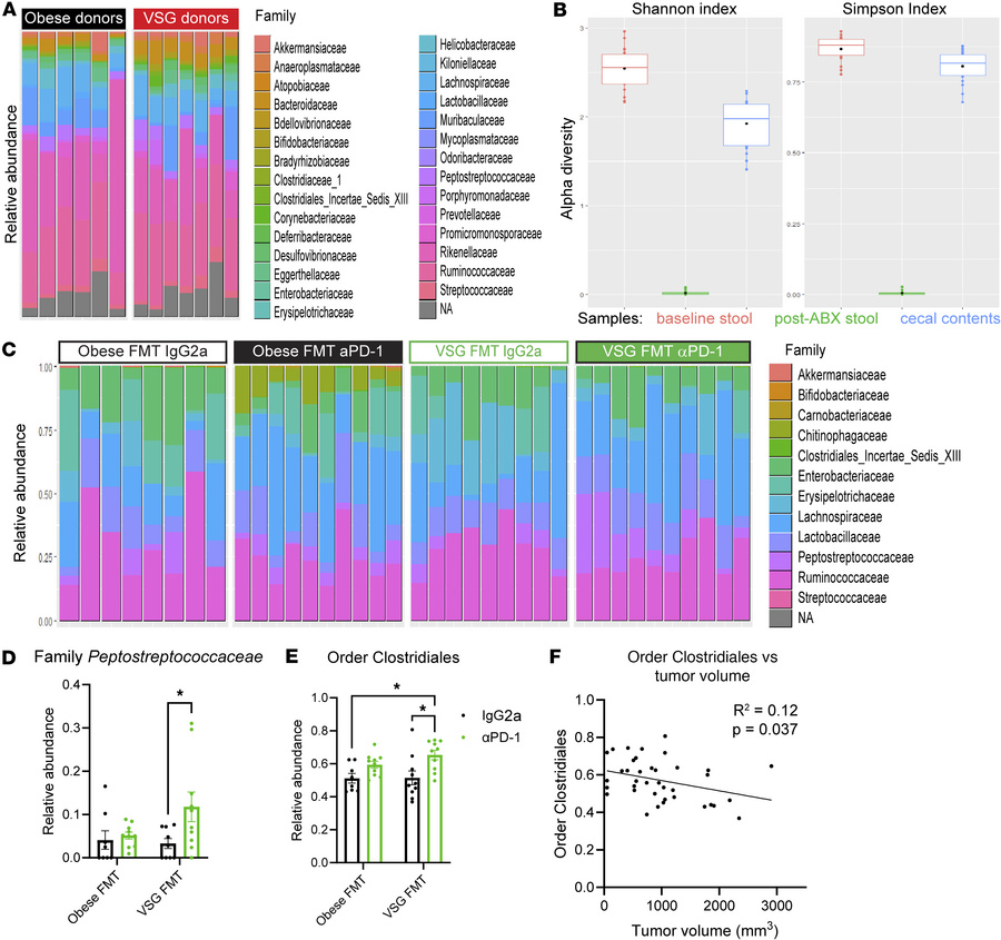 Microbes transplanted from VSG donors suggest elevated order Clostridial...