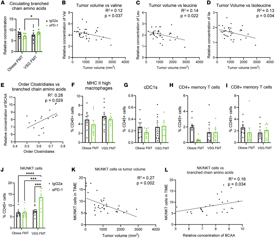 Elevated circulating branched chain amino acids were detected after FMT ...
