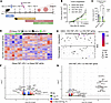 Microbes transplanted from VSG donors improved response to αPD-1 immune che