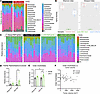 Microbes transplanted from VSG donors suggest elevated order Clostridiales