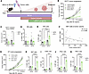 Branched chain amino acid supplementation mimics the effects of the post–ba