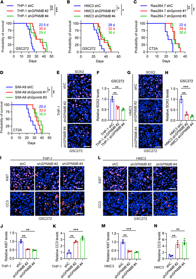 Inhibition of GPNMB in microglia and macrophages inhibits tumor growth a...