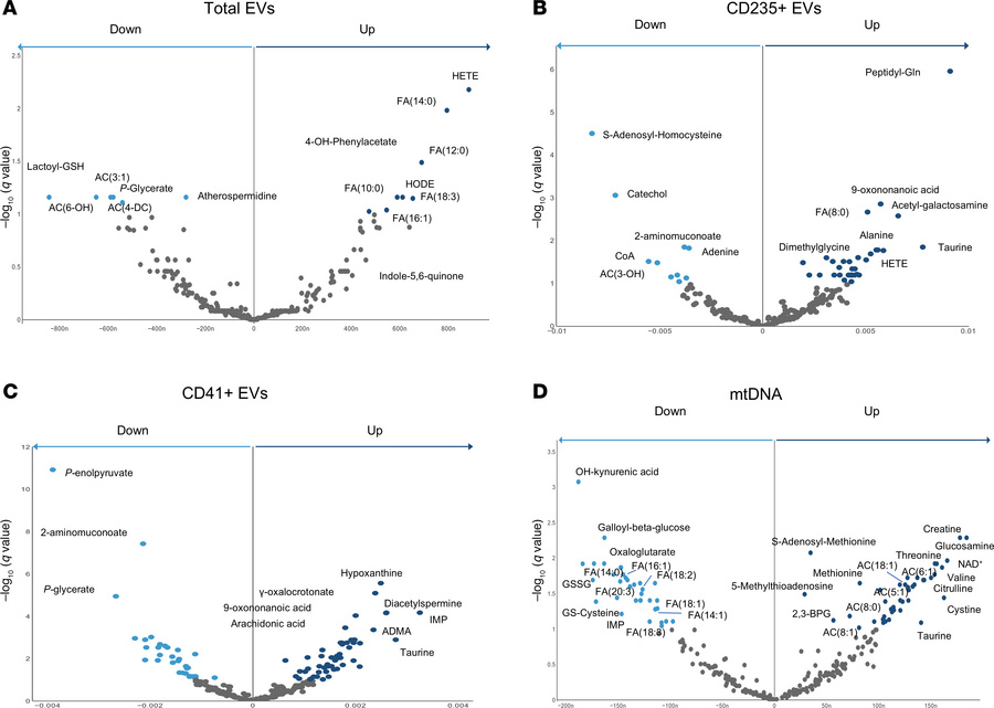 Metabolite correlations with EV populations and mtDNA.
Volcano plots ind...