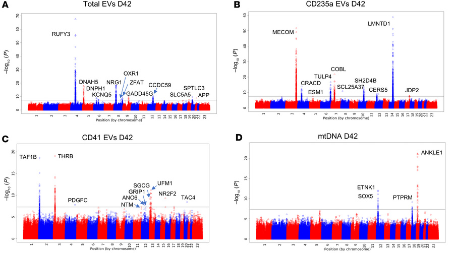 Genetic polymorphisms associated with RBC unit EV and mtDNA levels throu...