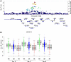Genetic polymorphisms associated with mtDNA levels through storage.