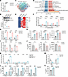 IAMP represses inflammatory response in cardiac fibroblasts.
