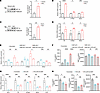 IAMP regulates proinflammatory gene expression through HIF-1α.
