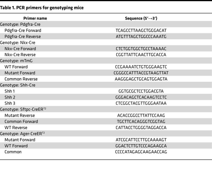 PCR primers for genotyping mice