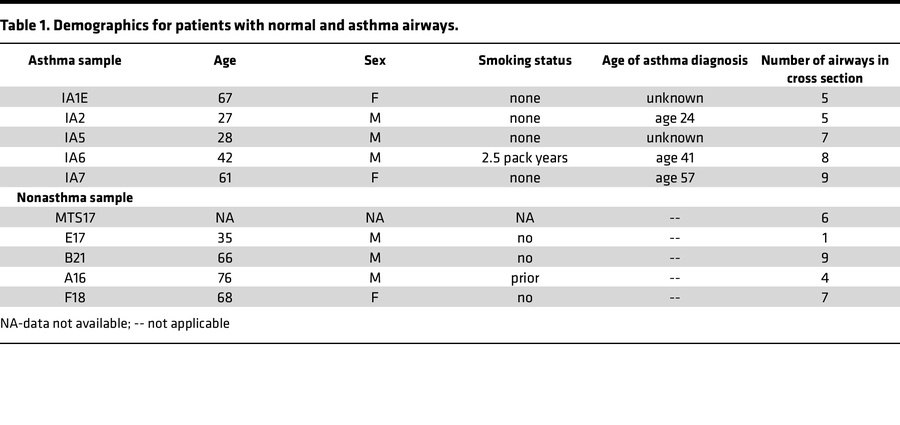 Demographics for patients with normal and asthma airways.