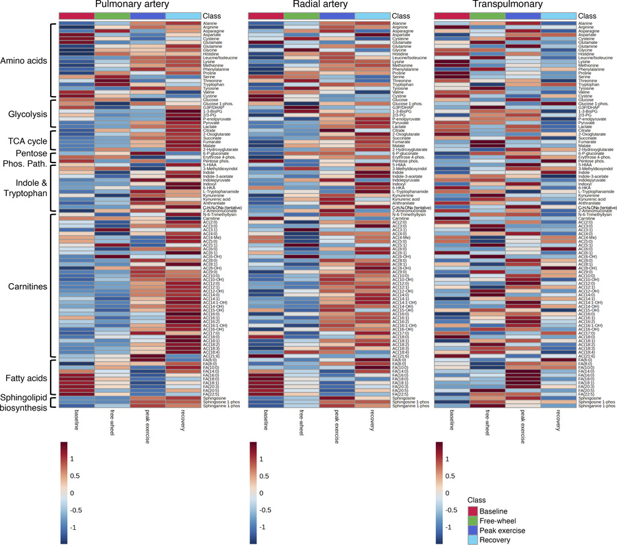 Heatmap overview of metabolite availability according to plasma collecti...
