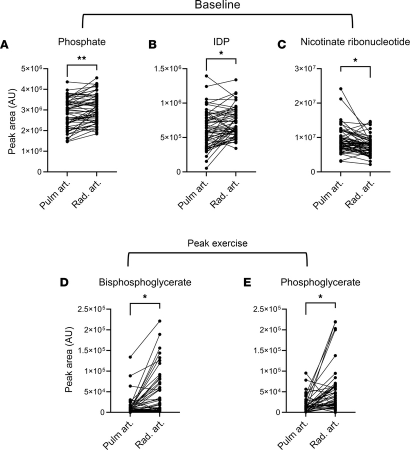 Net flux of metabolites across the pulmonary vascular bed.
Net secretion...