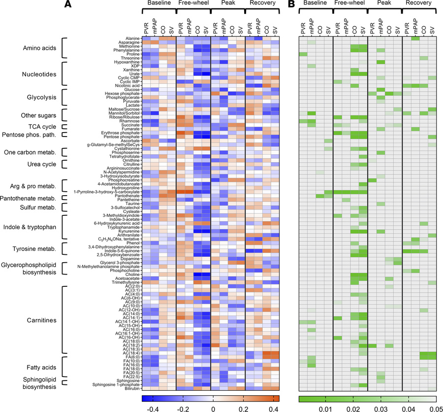 Correlations between hemodynamic indices and transpulmonary metabolite f...