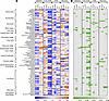 Correlations between hemodynamic indices and transpulmonary metabolite flux