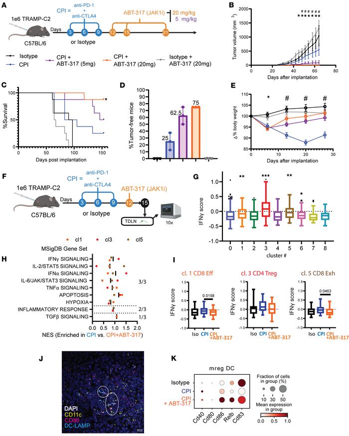 JAK inhibitor ABT-317 synergizes with CPI to achieve long-lasting antitu...