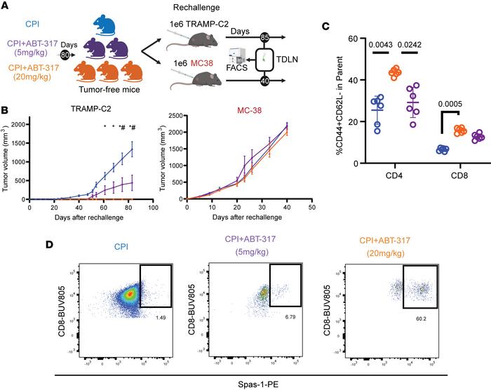 ABT-317 provides protective immunological memory against tumor rechallen...